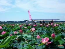 長沼はすまつりの写真