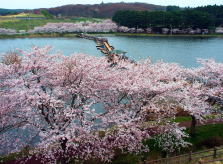 平筒沼ふれあい公園の写真