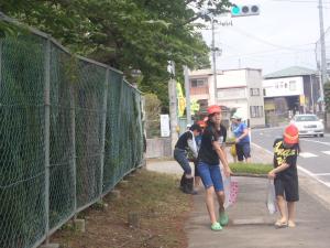 苗を運んでいる写真