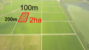 伊豆沼2工区地区大区画整備状況の画像