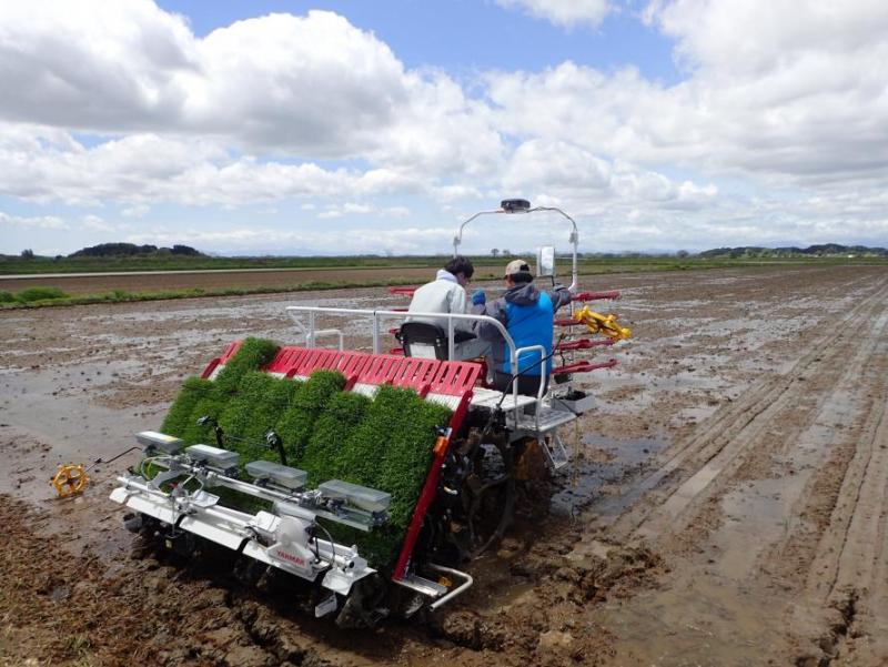 実際に田植機に乗車（左：新卒1年目　保坂氏）