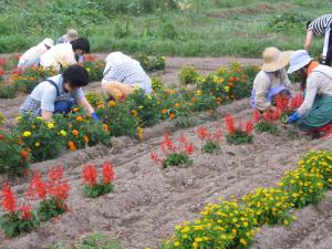 植栽を行う様子