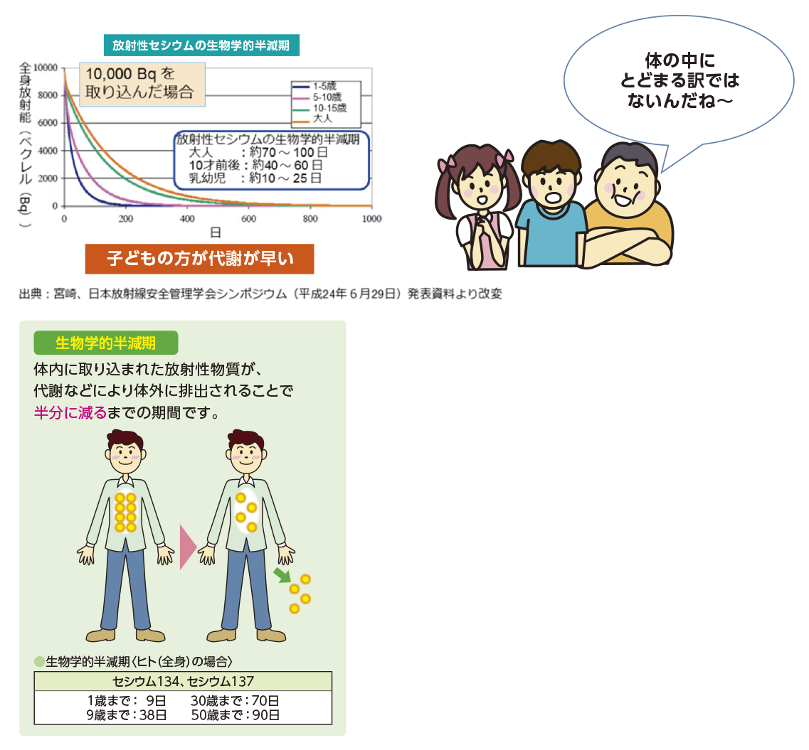 生物学的半減期