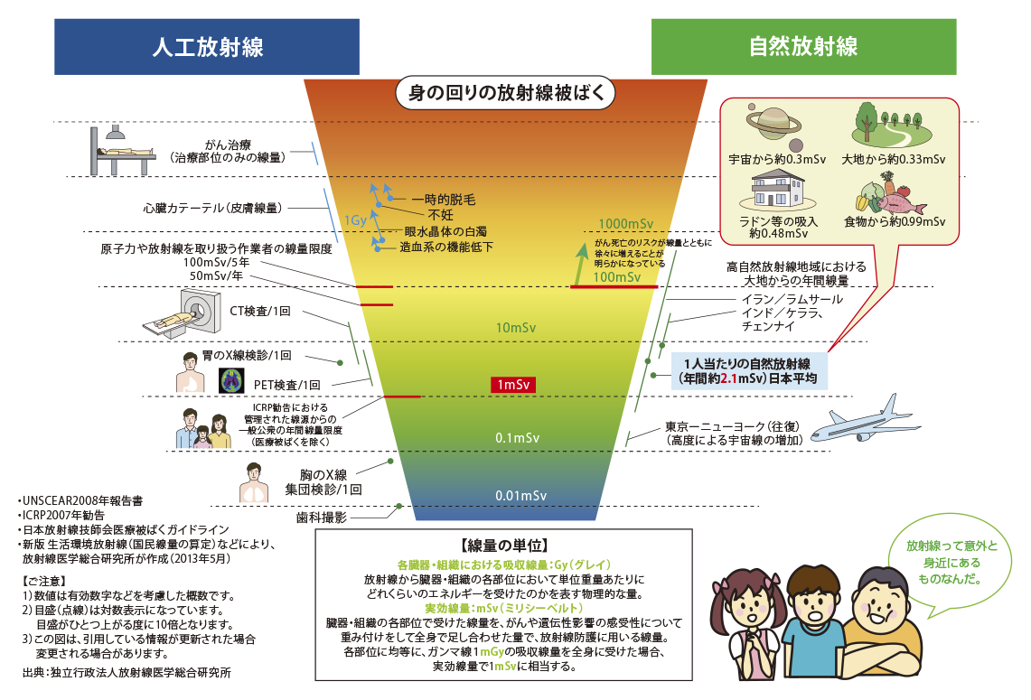 放射線被ばくの比較