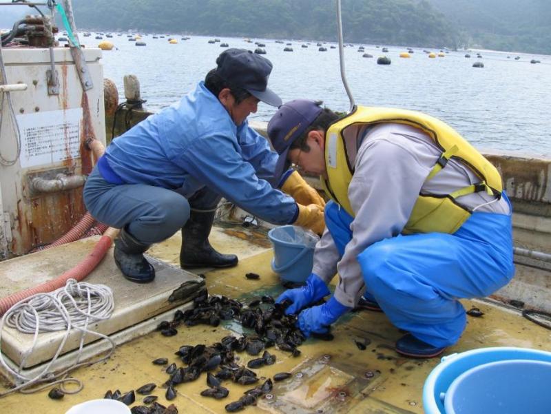 水産資源調査の様子