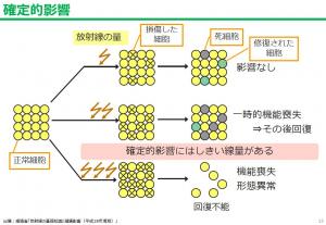 確定的影響の図