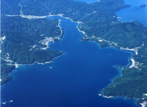 雄勝港航空写真