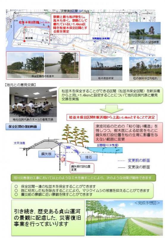 五間堀川河川災害復旧工事における松並木の保全についての取組図2