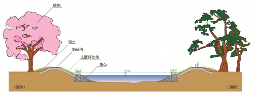 運河らしい景観に配慮した堤防整備や植樹の一例