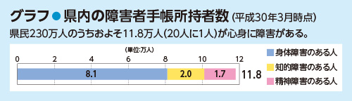 グラフ／県内の障害者手帳所持者数