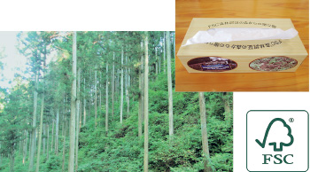 登米市FSC®認証木材のティッシュペーパーの写真