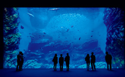 スタンプラリーのスポットの1つ「仙台うみの杜水族館」の写真