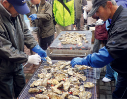 収穫まつり・秋の魚市場まつりの写真