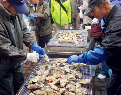 収穫まつり・秋の魚市場まつりの写真