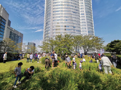 「だて正夢」稲刈りイベント（東京・六本木ヒルズ）の写真