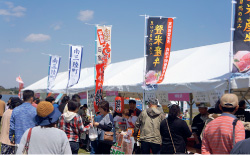 東北風土マラソン＆フェスティバルの写真