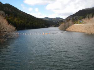 堤体からダム湖（3月21日）