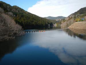 堤体からダム湖（3月28日）