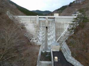 ダム下流面の状況（4月7日）