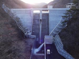 ダム下流面の状況（4月11日）