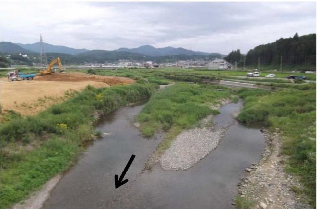 桜子大橋から上流を望む