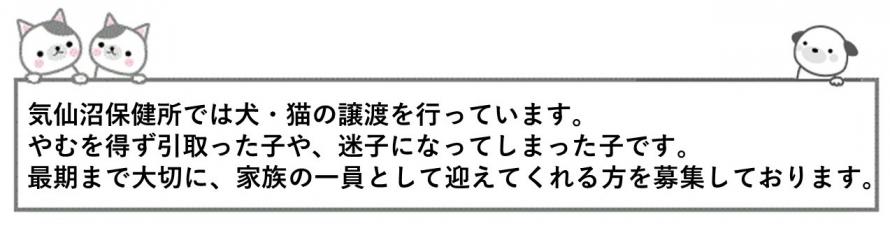 譲渡動物について
