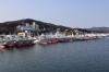 気仙沼漁港の漁船係留風景