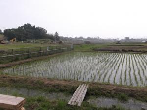 学校田（手前）と隣接する大谷工区