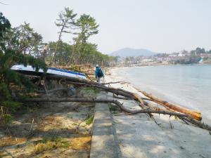 小田ノ浜の被災状況写真