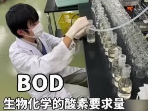 水質検査の実施（BOD）