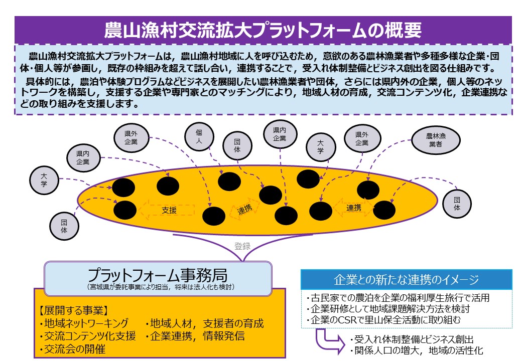 模式図