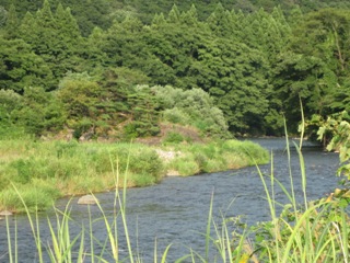 美豆の小島