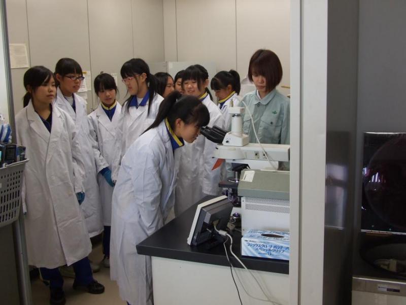 古川黎明中学校の生徒が顕微鏡をのぞいている様子