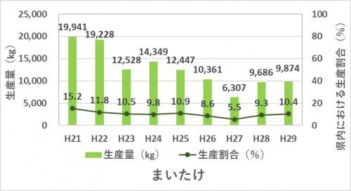 まいたけの生産量と生産割合のグラフ