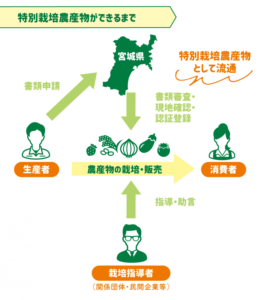 特別栽培農産物ができるまで新Ver