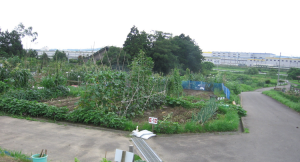 利府町ふれあい農園風景1