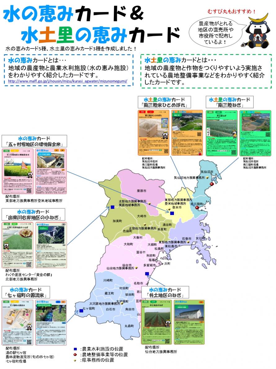カード紹介(R6.12.17)