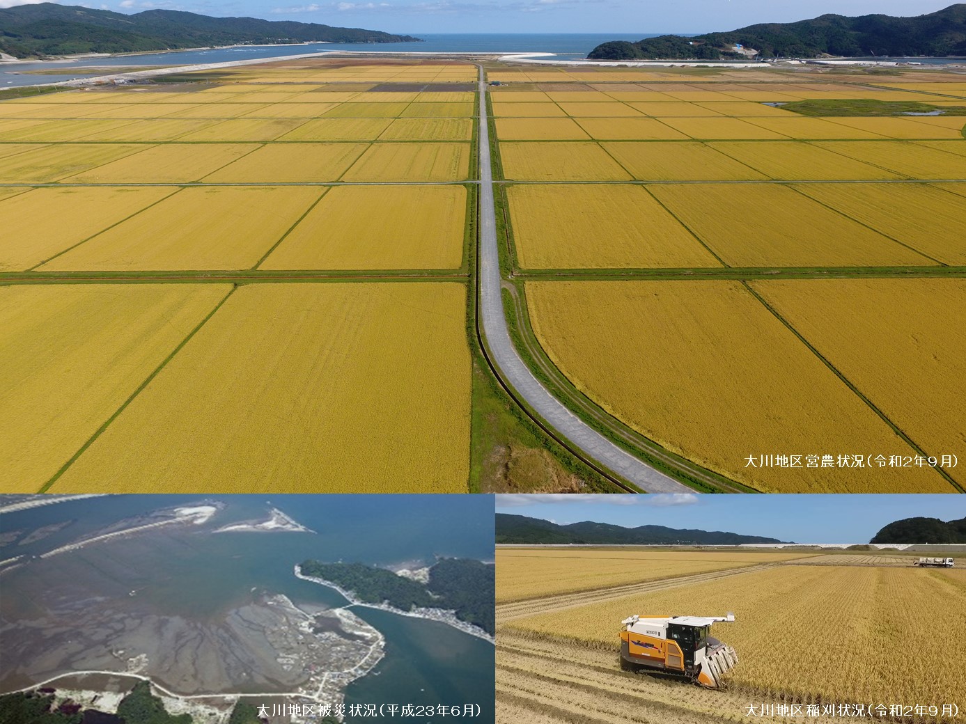 石巻市大川地区