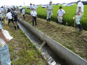 通常の水田