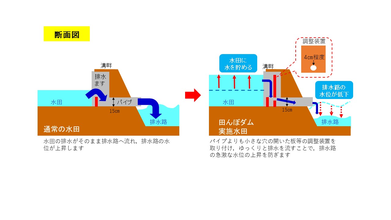 断面図