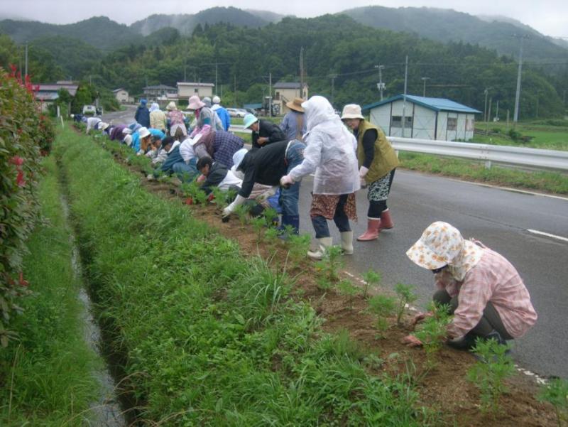 写真：活動区域の県道越河角田1