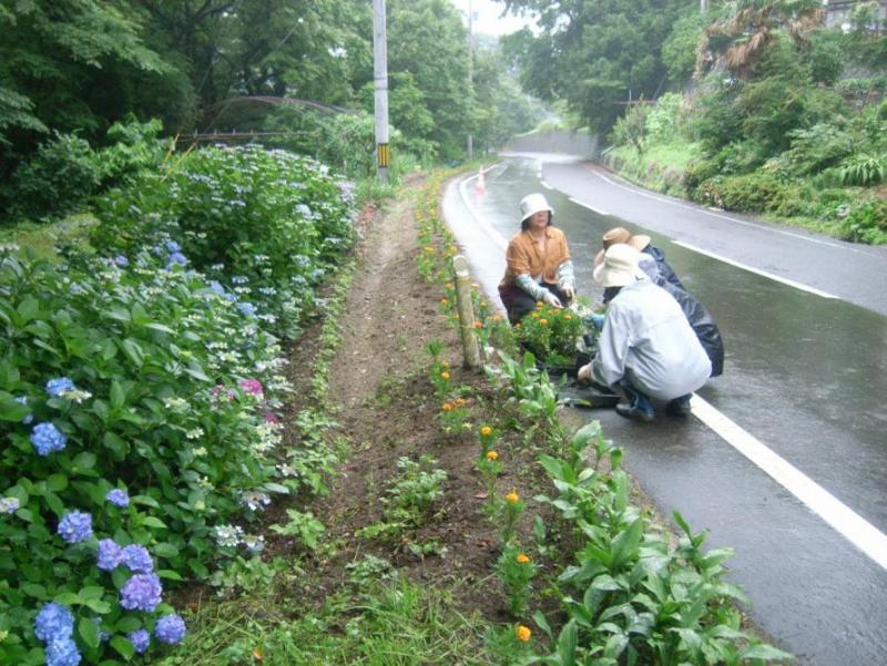 写真：活動区域の県道越河角田2