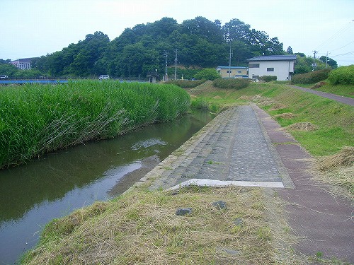 斎川_河川公園2