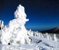  優秀賞「樹氷」の写真