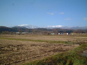 龍雲寺近く水田の写真です