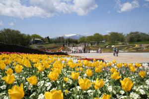 みちのく杜の湖畔公園の写真です