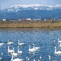 みやぎ蔵王の風景　冬