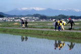 槻木水田地内