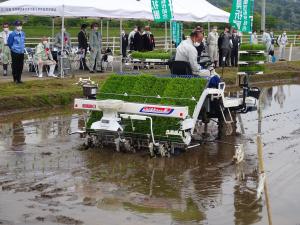 営農再開農地への田植えの様子