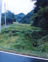 農道側から見上げた状態